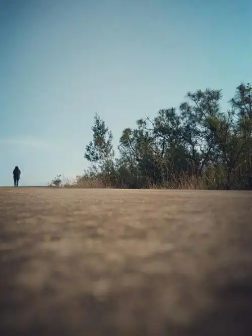 远走的是背影,留下的是思念