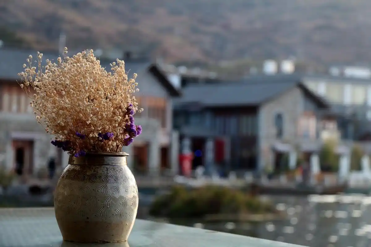 一个安静惬意的情调小镇 —双廊洱海