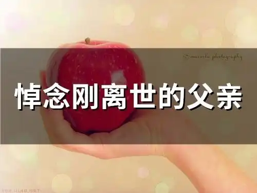 悼念刚离世的父亲(精选17句)