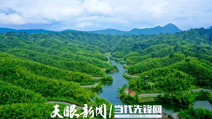 赤水竹海景区 杨柳 摄赤水将把生态文明建设贯穿创建全国文明城市的全