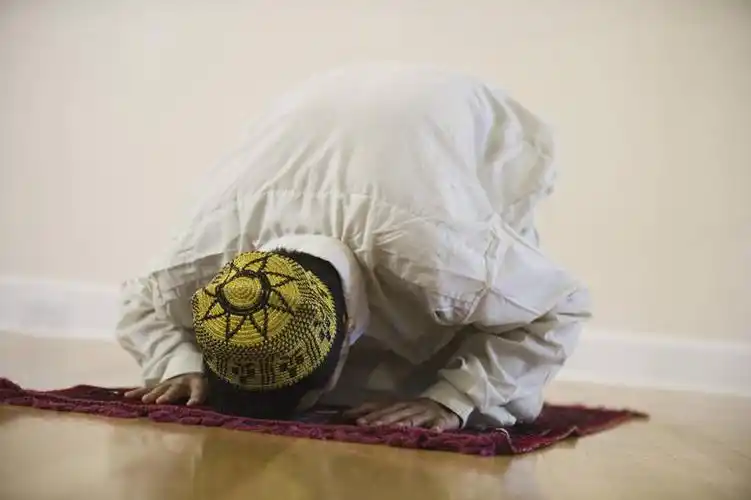 西方人,一个人,跪,横图,室内,白天,正面,地毯,帽子,欧洲,欧洲人,仅一