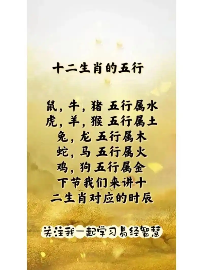 十二生肖五行