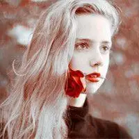 名花倾国两相欢 阿宝色玫瑰女生头像_女生头像