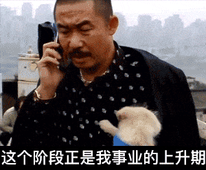 表情疯狂的石头动图