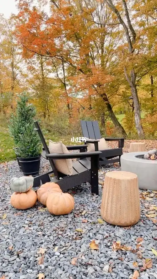 庭院景观秋天的院子户外休息区