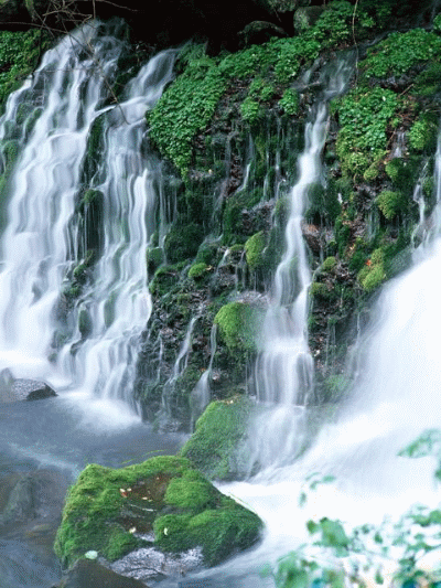 400_533竖版 竖屏gif 动态图 动图