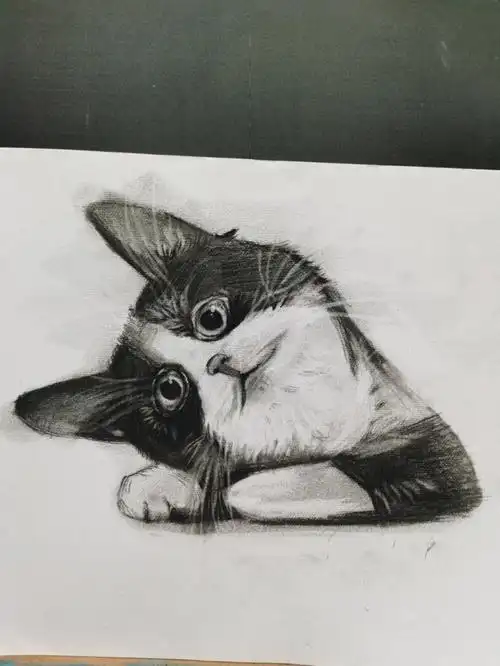 初学者素描请高手点评