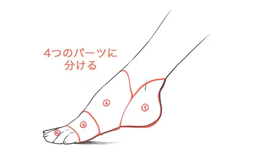 板绘初学者不会画脚足控福音漫画脚部画法解析