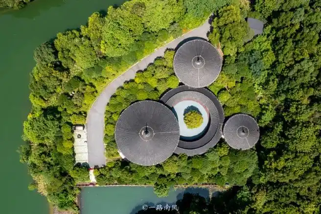 #全球学子嘉游赣##全球学子嘉游赣 大美宜春多胜游##城市巡游记#