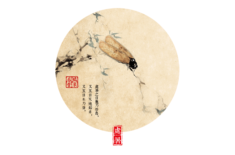 超萌的中药版二十四节气养生动态图!