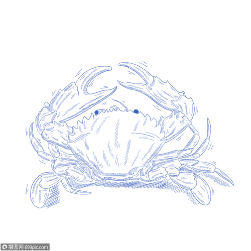 蓝色螃蟹简笔画