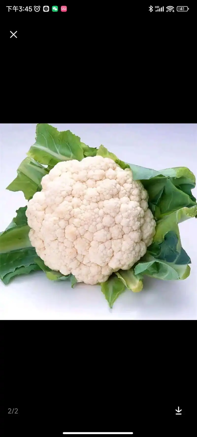 白玉丝瓜        300斤鸡肠青线椒  - 抖音