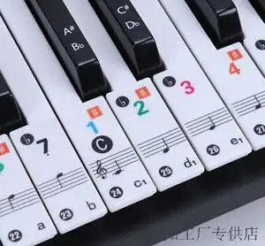 电子琴贴纸36键88/61/54键钢琴初学自学手卷钢琴五线谱简通用琴键