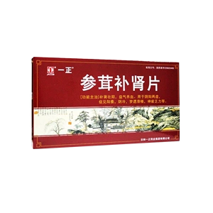 3g*72片/盒 参茸肾补片 参茸补肾片一正 参茸肾补片一正 吉林一正药业