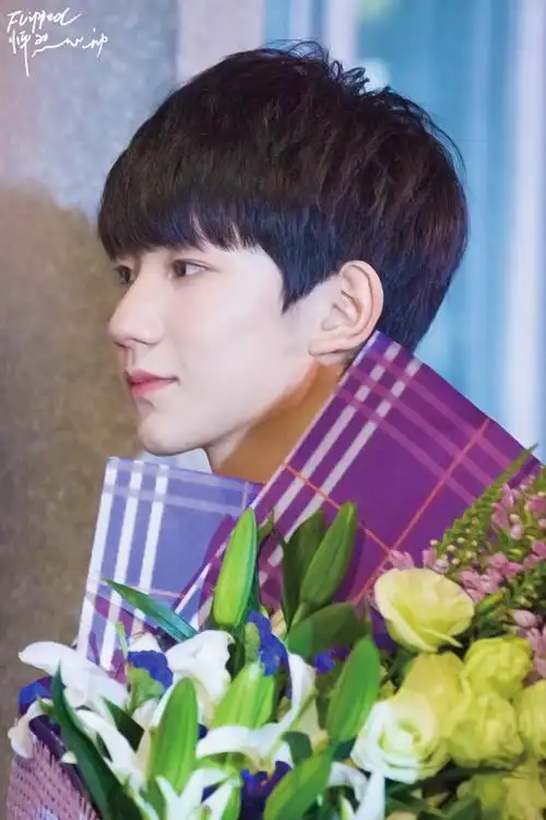 王源150802 偶像来了 cr:flipped_kr