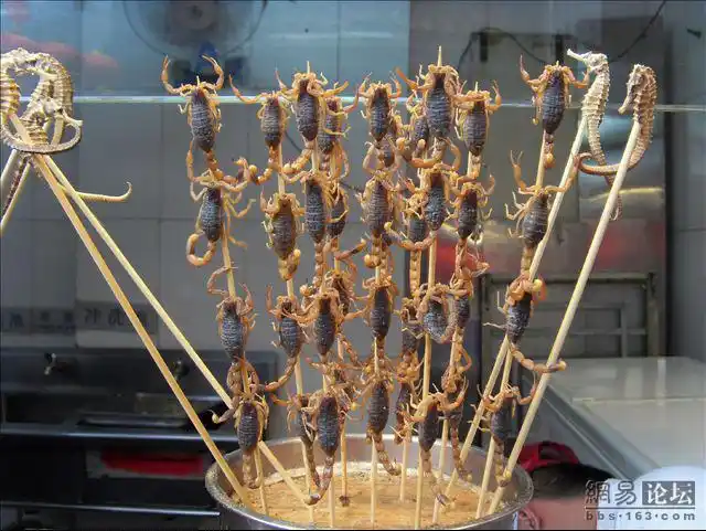 实拍北京王府井的烤蝎子