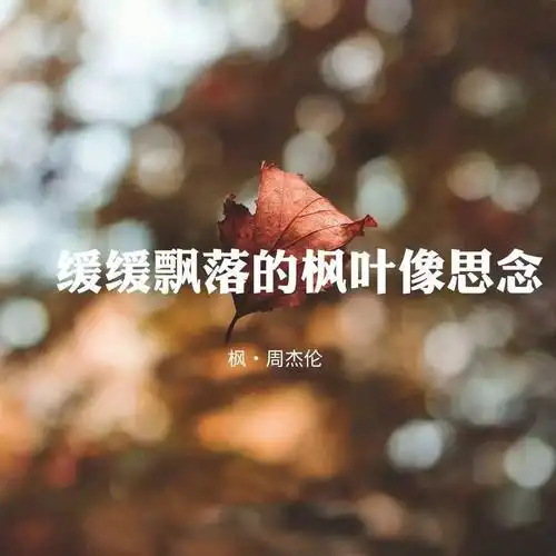 枫钢琴谱周杰伦c调钢琴弹唱五线谱