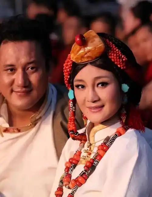 丁珍_曲扎_事业