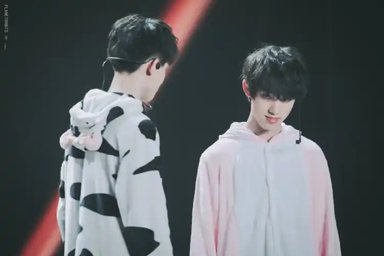 堆糖,美图壁纸兴趣社区