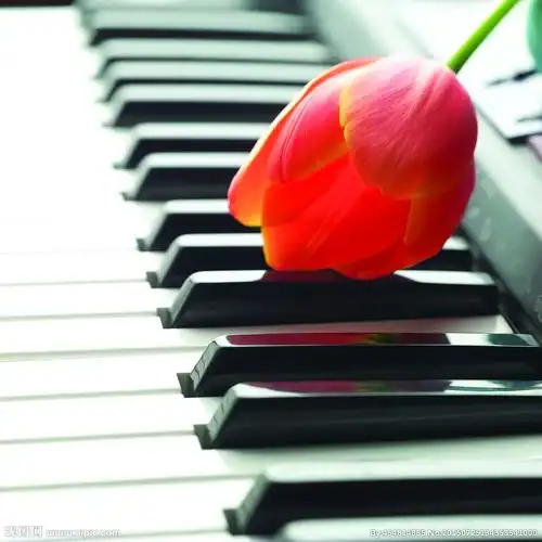 唯美钢琴图片