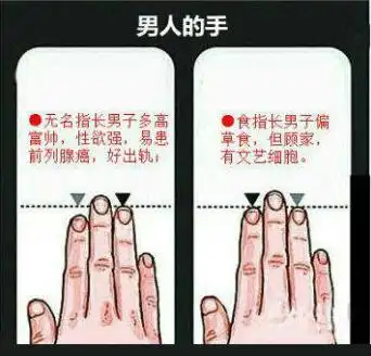手指的长度是越长越好吗?-面相手相网
