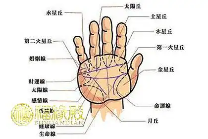 生命线图解大全从生命线解读人生