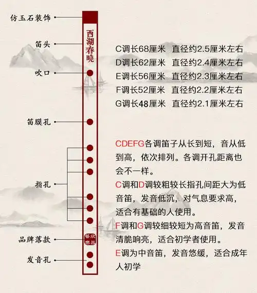 笛子初学成人零基础横笛/黑色学生苦竹笛白紫色古风乐器女儿童 黑色g
