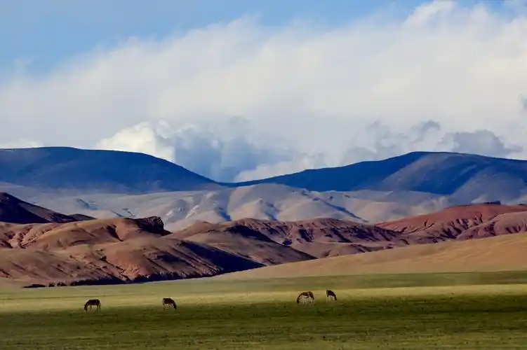 走进西藏(4)……精灵的乐园～藏北羌塘/可可西里无人区