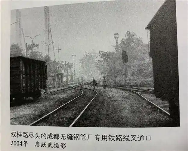 成都老照片丨梨花街,桂花街…成都以花木命名的街道你知道几个?