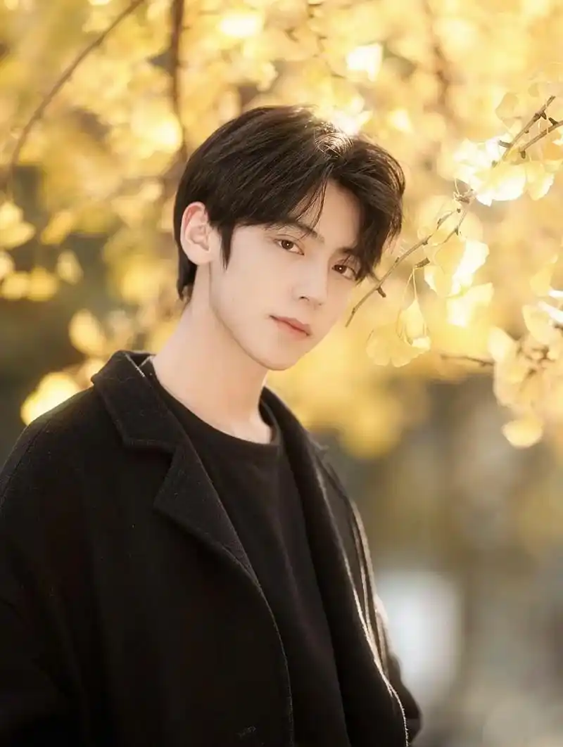 去看看秋日的银杏吧.#少年感 #男生写真 #185大帅哥 # - 抖音