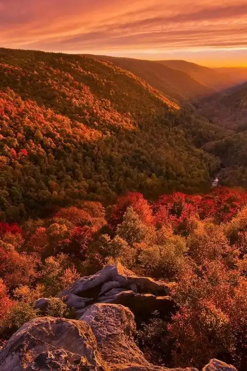 壁纸 美丽的秋天风景,山,森林,日落 1920x1200 hd 高清壁纸, 图片