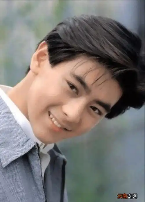 17岁出道的林志颖,凭借着朗朗上口的歌曲《十七岁的雨季》和奶油小生