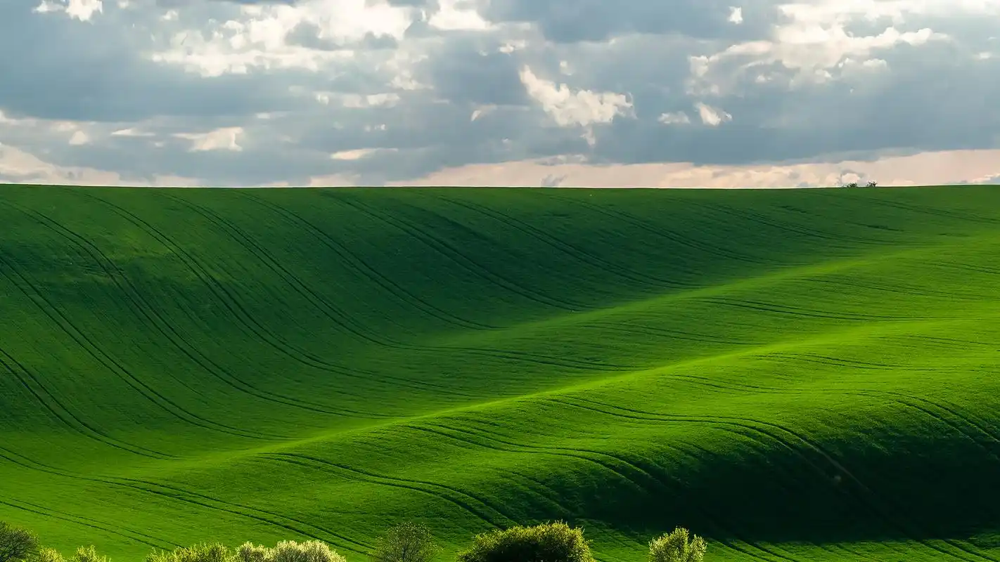 唯美清新的绿色田园风景高清宽屏壁纸