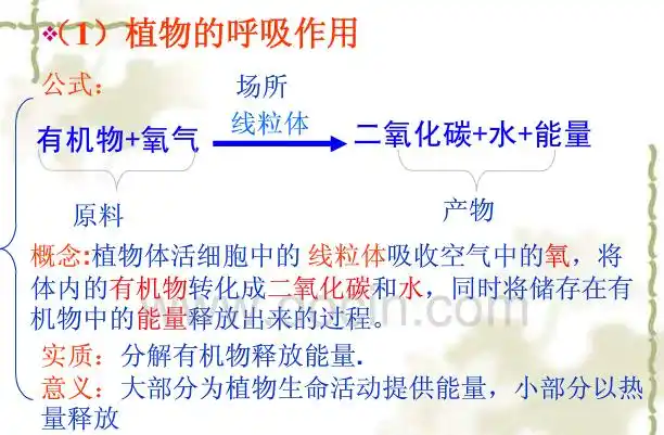 植物呼吸作用消耗脂肪时生成什么?有二氧化碳吗?有具体反应式吗?