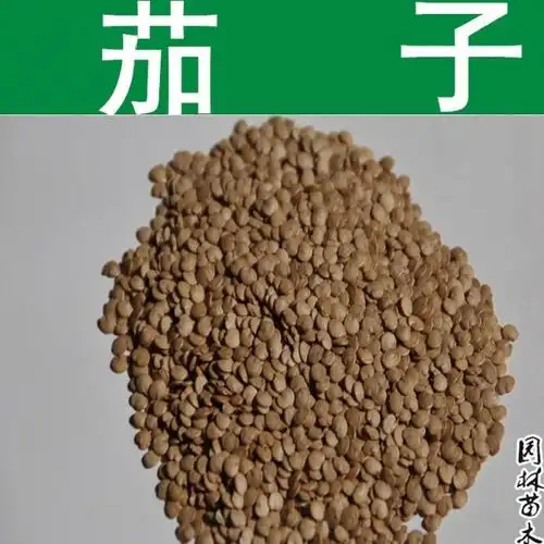 茄子种子一级良种