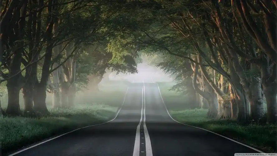 谁能给我些锁屏壁纸谢谢