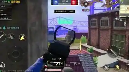 和平精英步枪团竞m762 m416