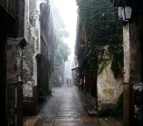 江南雨巷:丁香空结雨中愁!
