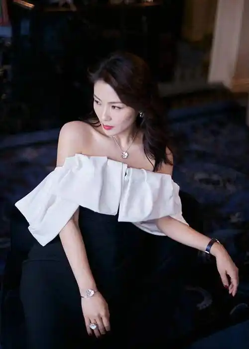 刘涛高清图片第2490期