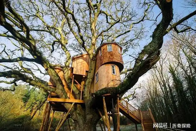 树屋,绝美的森林童话世界等你体验!|宫崎骏|小木屋_网易订阅