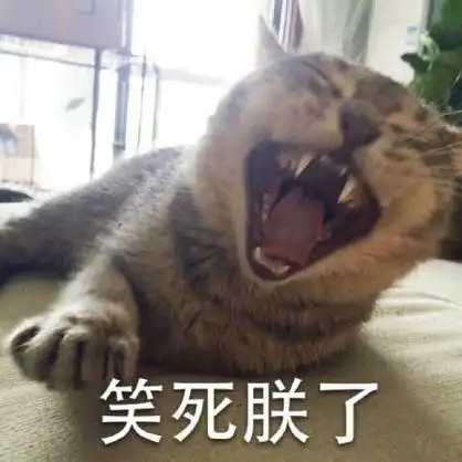 笑死朕了 - 警察蜀黍就是他(喵星人)_喵星人_可爱表情