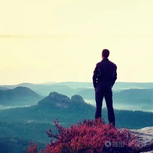 锋利的落基山脉公园照片-正版商用图片0f9ant-摄图新视界