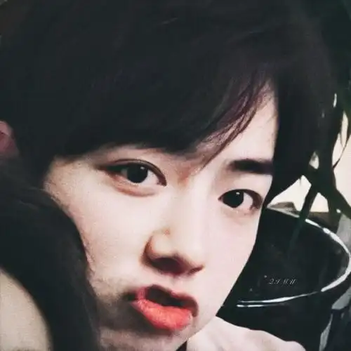 【博君一肖】肖战 头像