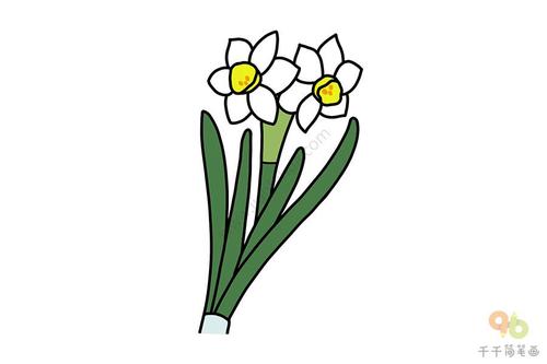 水仙花简笔画 喜欢收藏