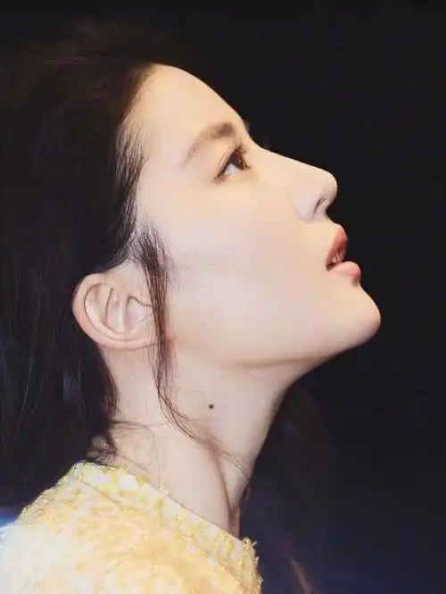 五位拥有高鼻梁的女星直到董洁出现后堪称人偶般的鼻梁