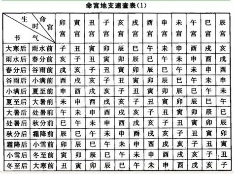 命宫地支查询表