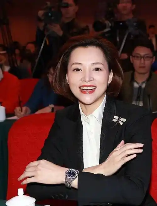 49岁的董卿令我惊讶:他的衣着朴素,没有长发,没有金银,但气质非凡