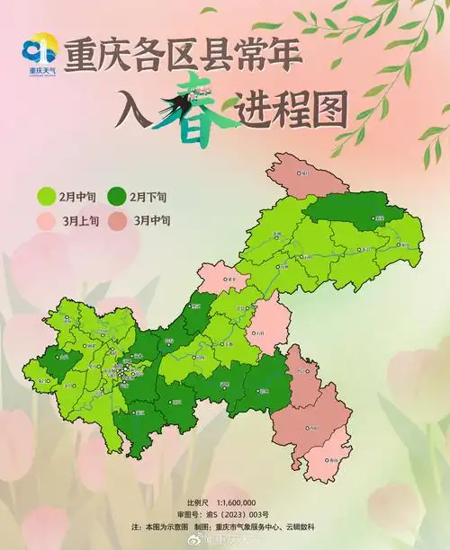 重庆近日如此温暖,春天真的来了吗?- 今日重庆 -华龙