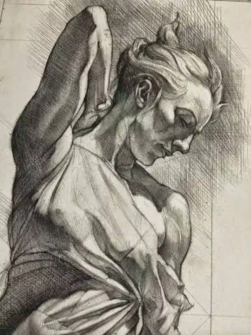 大师手法,功力深厚的人体结构素描!