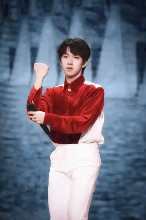 贺峻霖北京台春晚##贺峻霖 虎迎锦绣吉星照